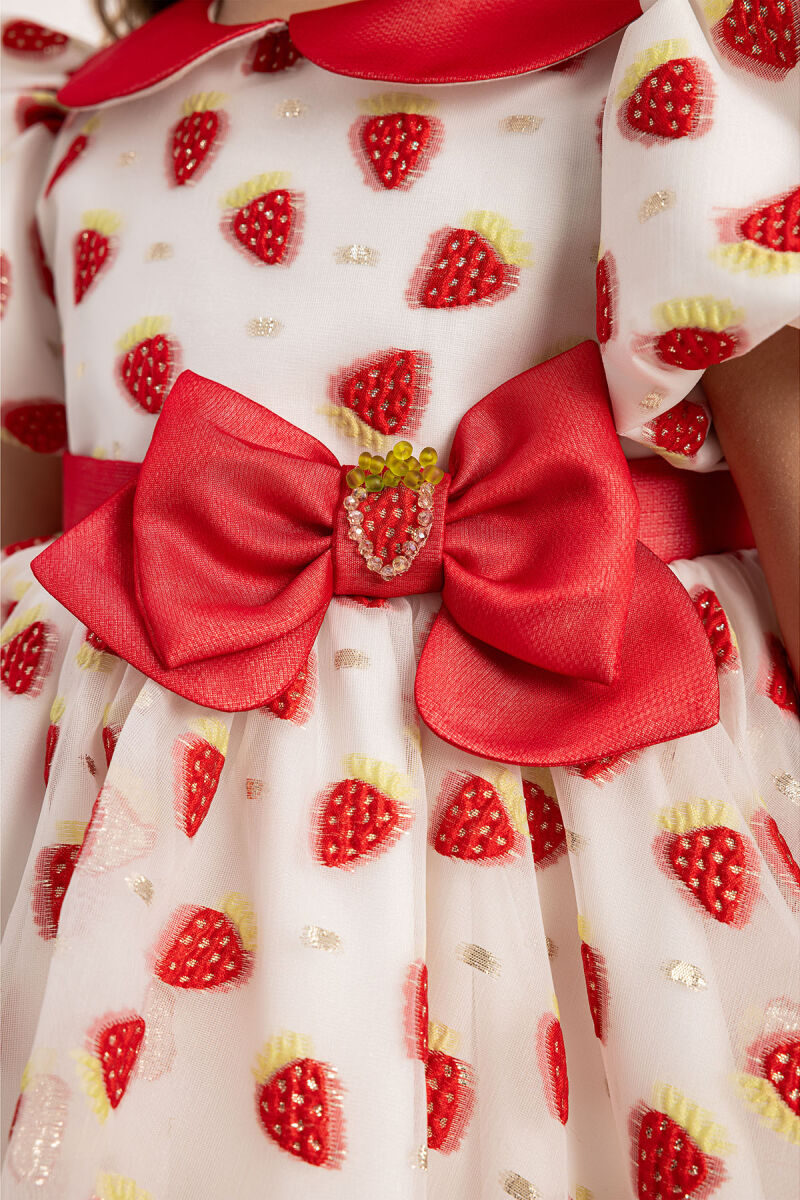 Red Strawberry Dress with Hair Accessory 6-24 MONTH - 3