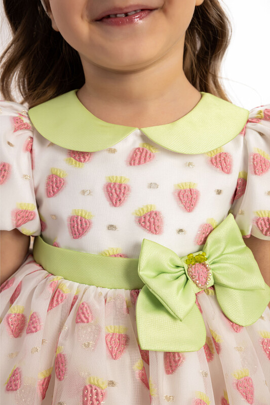 Pink Strawberry Dress with Hair Accessory 6-24 MONTH - 8