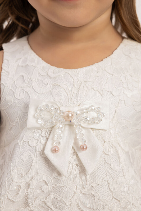Ecru Girls Lace Tulle Dress 6-24 MONTH 35181PR - 6
